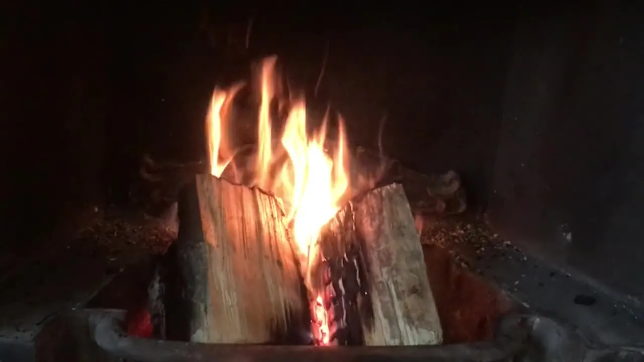 Split logs burning behind the glass door of a wood stove